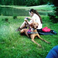 Фотографии пользователя Alexandra-Cornelia Manole