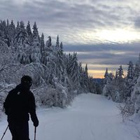 Fotos de Francis Melanson