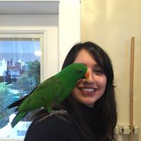 Fotos de shreya hegde