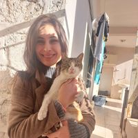 Sarah Gokce的照片