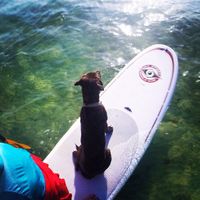 Abigail Snyder's Photo