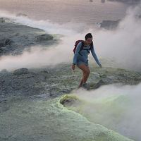 Daniela Pappalardo's Photo