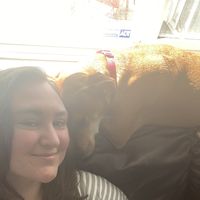 Fotos de Olivia Werdal