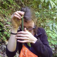 Fotos von Lee Bryant