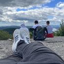 Looking For A Travel Buddy's picture