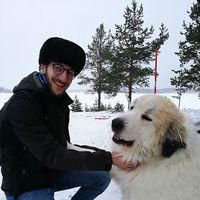 Martin Anstett's Photo