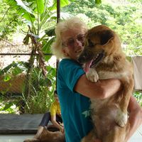 Gill Hibbitt's Photo