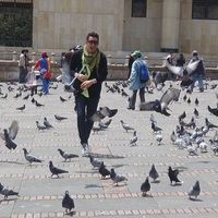 Jerry Gomez的照片