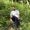 Rashid Ershadi's Photo