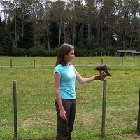 Naomi McBride's Photo