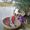 Terry Gammon's Photo
