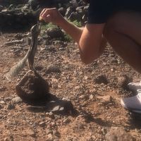 Jakub Skuhrovec's Photo