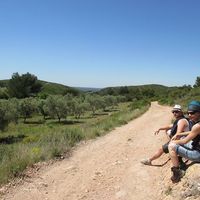 Mahie Bellut的照片