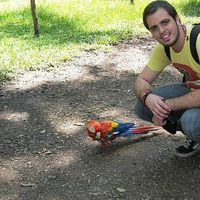 Ricardo De Pinho's Photo