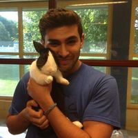 Rend Alsaadi的照片