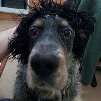 Miguel Gutierrez's Photo