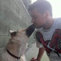 Francesco La Rovere's Photo