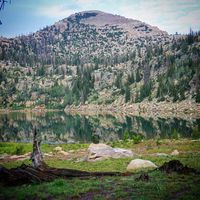 Dale Lester的照片