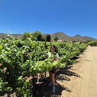 Fotos de Lili Martinez