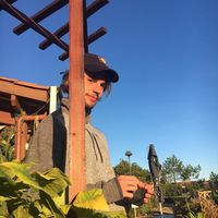 Le foto di Yannick Zelle