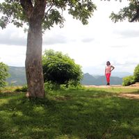 Wanderlust Chronicles的照片