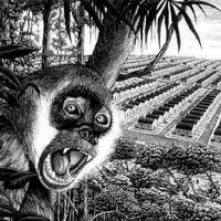 Thiago Accioly的照片