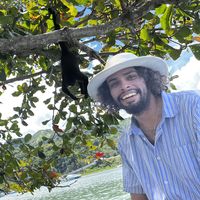 Fotos von David Sibaja