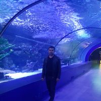 Zeki  Çiçek's Photo