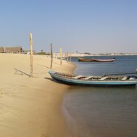 Estela Lizana的照片