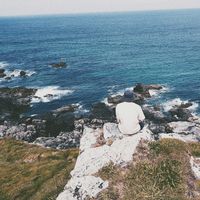 Charlie McGee的照片