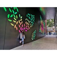 Amina Ghezelani的照片