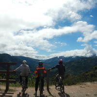 Niklas  Zimmermann的照片