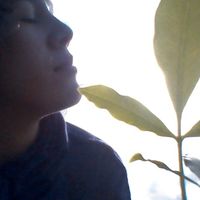 Eileen Folch的照片