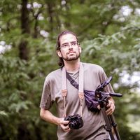 Fotos von Csaba Monory