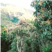 Jenna Knobloch的照片