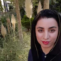 shima barak的照片