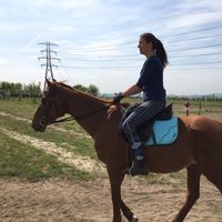 Фотографии пользователя Alexandra Varga