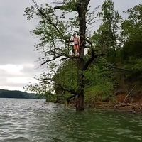 Patrick Melton's Photo