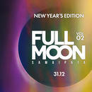 Full Moon New Year's party's picture