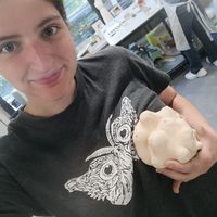 Joanna Jenny的照片