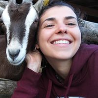 Photos de Aitana  Navium