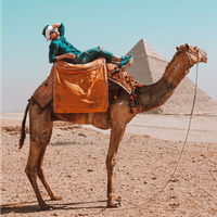 Adam Henoch Riolo的照片