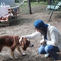 Hilal Dursun的照片