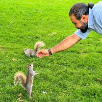 Mehrdad Barzegar's Photo