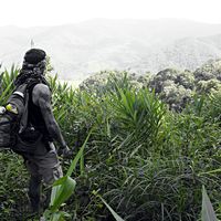 Julien  juju的照片