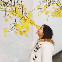 Fotos de Hoàng Phương