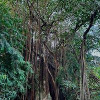 Pallavi Pagar的照片