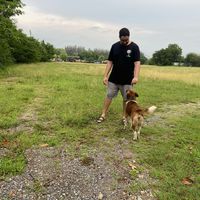 Fotos de Ahmed Mohamed