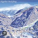 Deep Snow Sledding/ HARZ DAY TRIP's picture