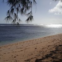 Olivier Jack的照片